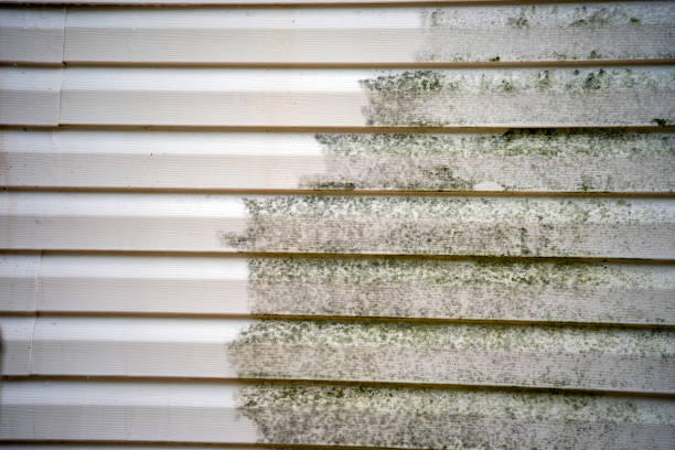 Best Hoarding Cleanup  in Agler Estates, FL
